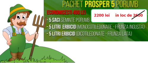 Pachet PORUMB  5 hectare