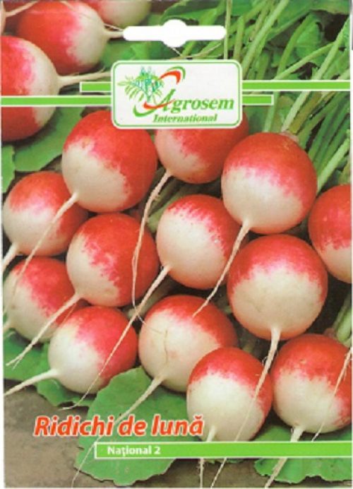 Ridichi Luna National 2