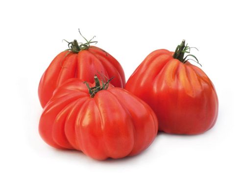 Tomate ARAWAK F1