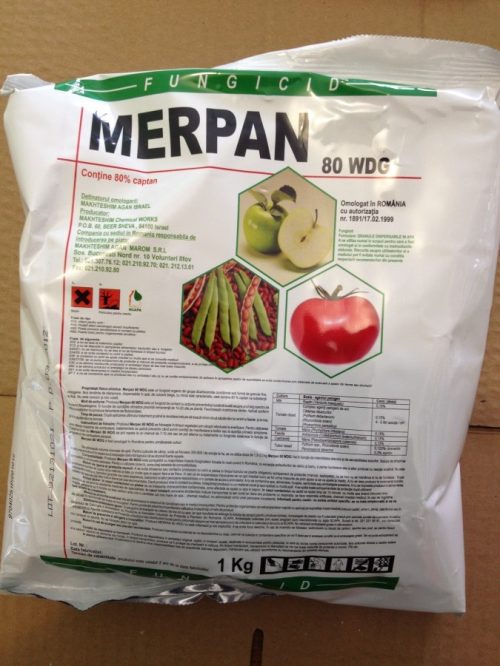 MERPAN 80WDG ( 15GR )