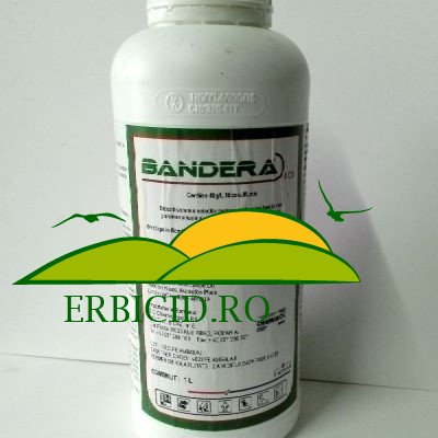 BANDERA 4 OD ( erbicid porumb)
