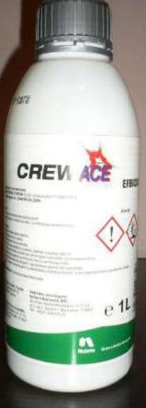 CREW ACE