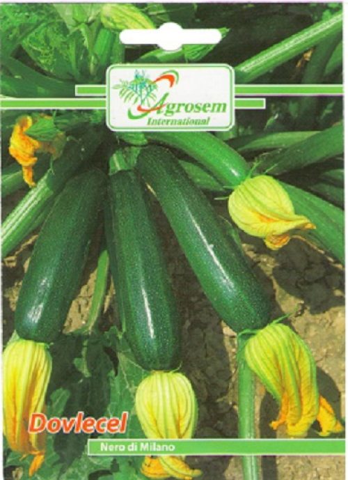 Dovlecel Nero Di Milano