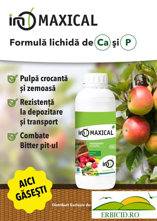 Maxical – Ingrasamant Foliar