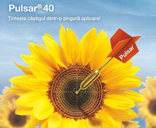 Pulsar 40 ERBICID FLOARE