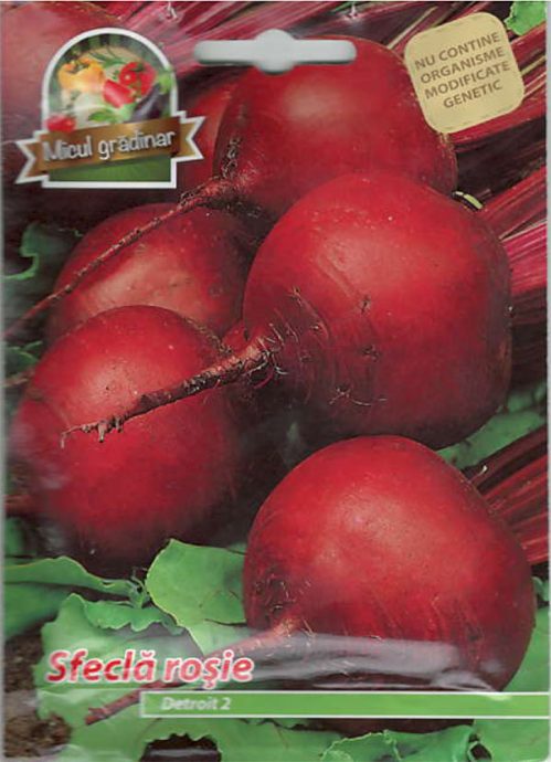 Sfecla Rosie Detroit 2