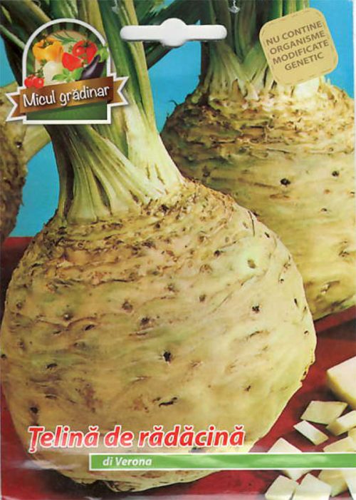 Telina Radacina Di Verona