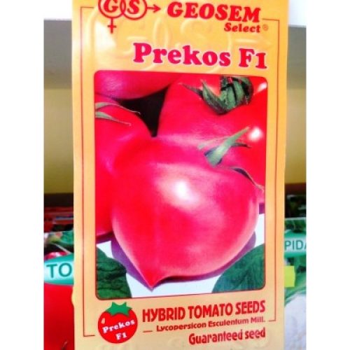 Tomate Prekos F1