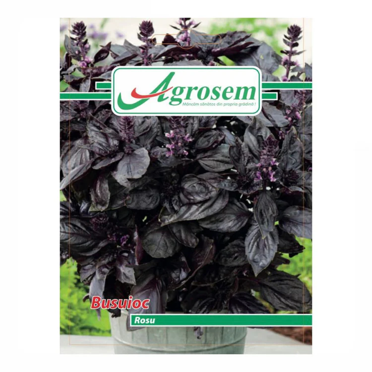 Seminte BUSUIOC ROSU