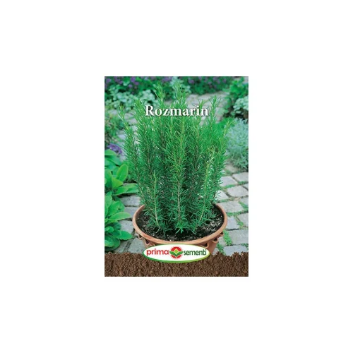 Seminte de Rozmarin