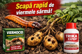 Viermele sârmă – Cum îl combati rapid și eficient cu Viermocid sau Trika Expert (Ghid complet 2026)