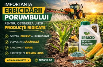 Importanța erbicidării porumbului pentru obținerea unor producții ridicate