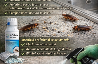 Gândacul de bucătărie și combaterea profesională cu Insecticid K-Othrine WG 250 – abordare tehnico-științifică
