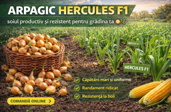 Arpagic Hercules F1 – soiul productiv și rezistent pentru grădina ta 🧅🌱