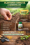 Importanța plantării corecte a semințelor și stimularea germinației cu Turbo Root și Albit