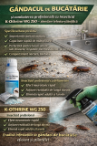 Gândacul de bucătărie și combaterea profesională cu Insecticid K-Othrine WG 250 – abordare tehnico-științifică